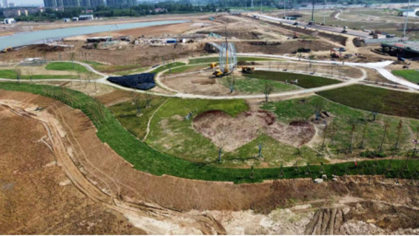 污泥制營養土園林利用關鍵技術