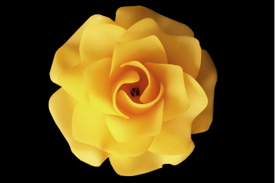 1561967519134177.png image.png