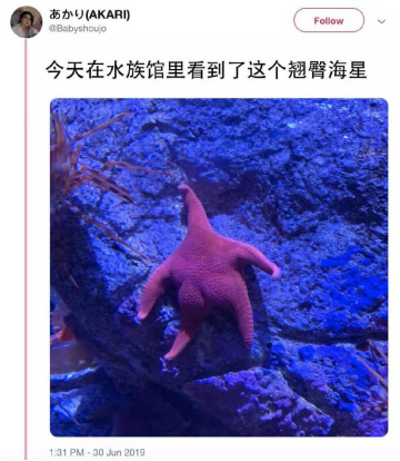 1562145427892995.png image.png